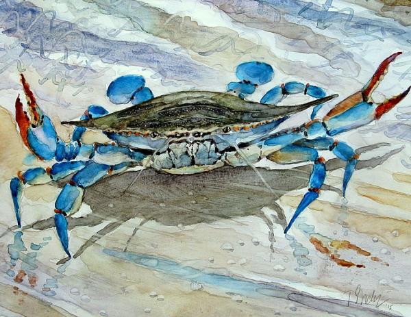Blue Crab picture