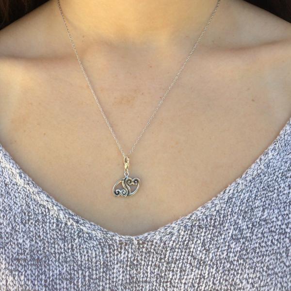 'Perfect Pair' Double Hearts Charm Necklace picture
