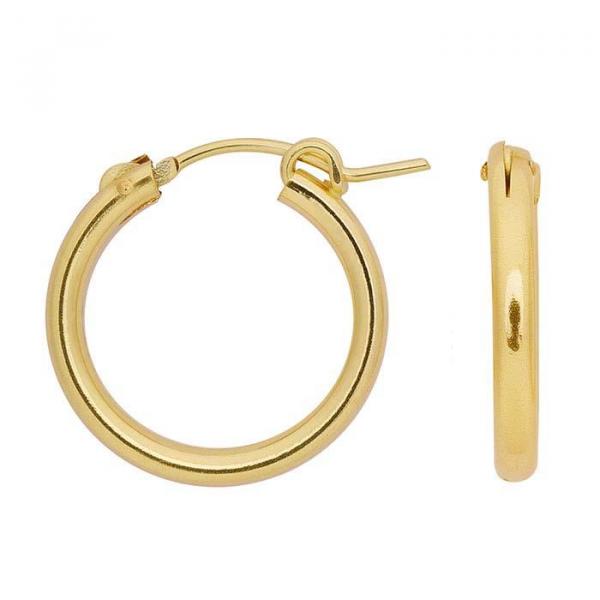 Small Gold Fill Hoop Earrings