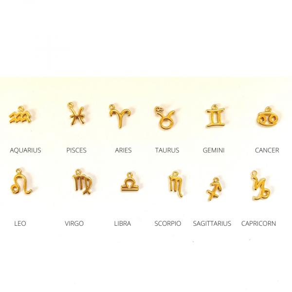 Zodiac Constellation Necklace picture