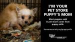 Humane Society of the United States #stoppuppymills campaign