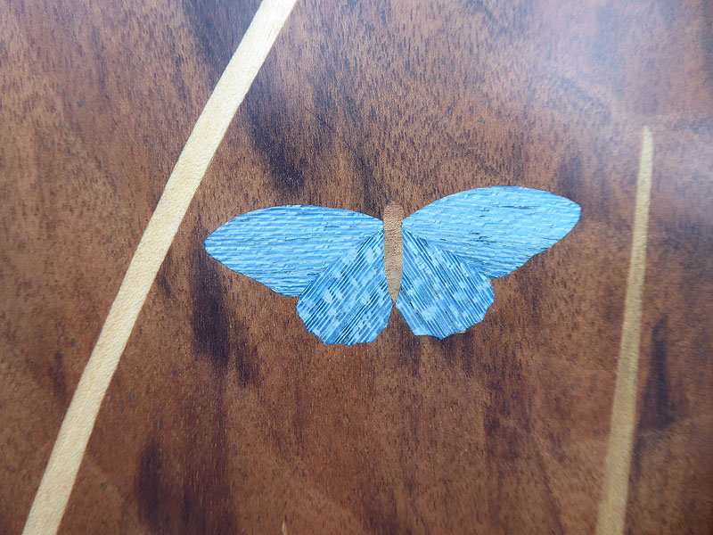 D418 Blue Butterfly picture