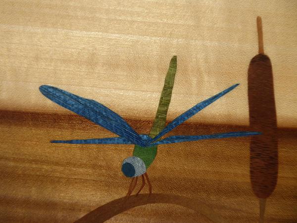D415 Blue Dragonfly on Cattail picture