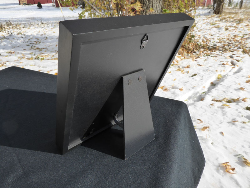 G113 Cardinal picture