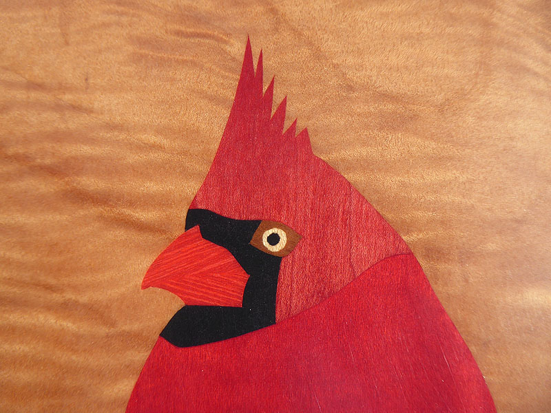 D408 Cardinal picture