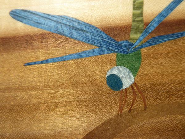 D415 Blue Dragonfly on Cattail picture