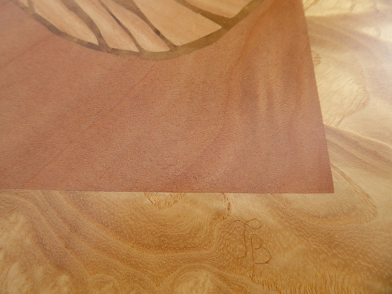 D119 Brown Butterfly picture