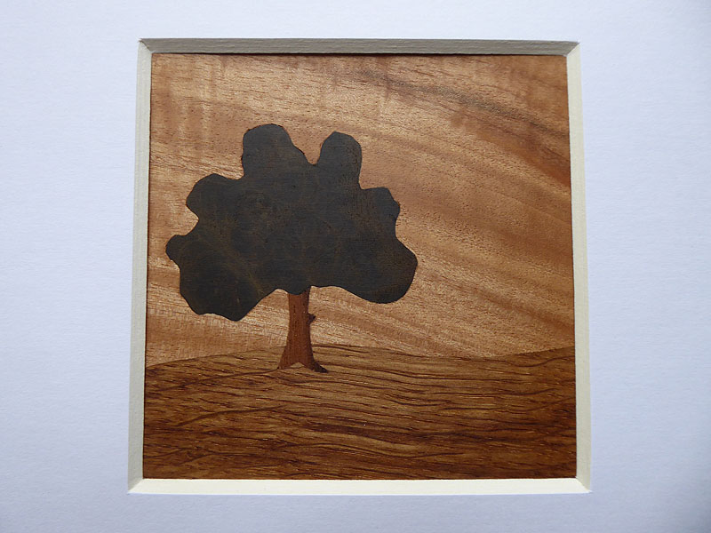 G111 Lone Tree picture