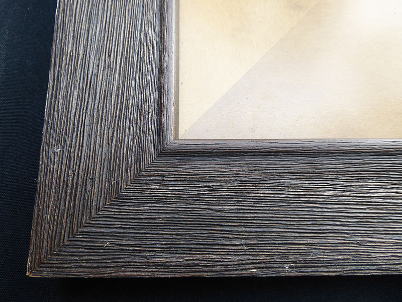 D409 Dragonfly picture