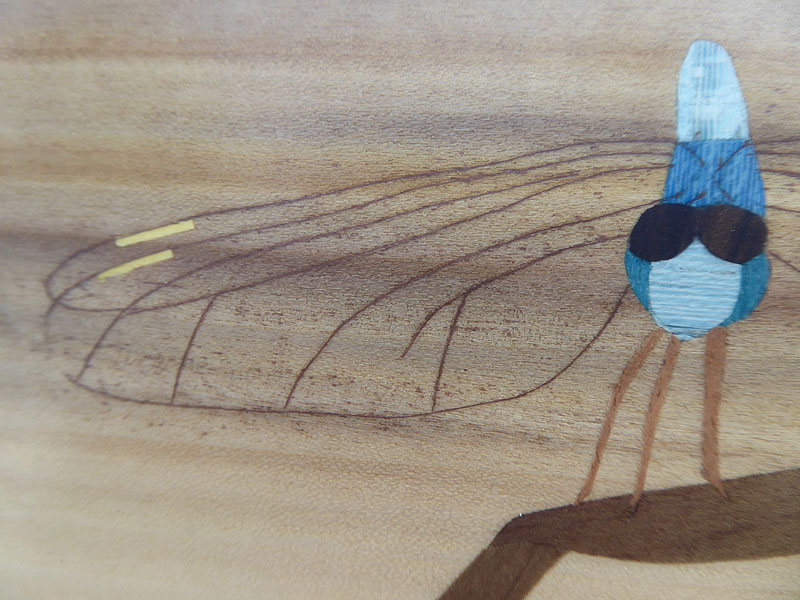 D411 Blue Dragonfly picture