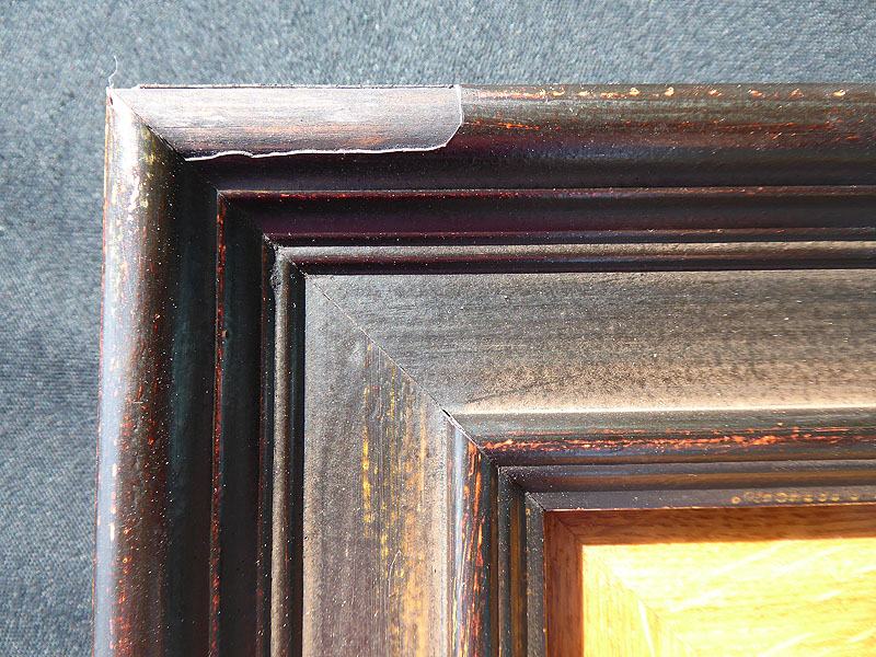 D151 Cardinal picture