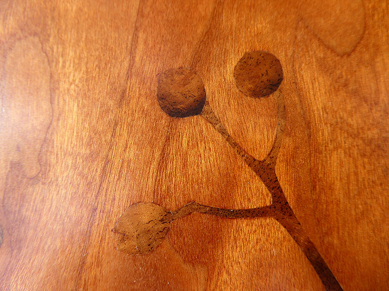 D328 Marsh Warbler in Feverbark Tree picture