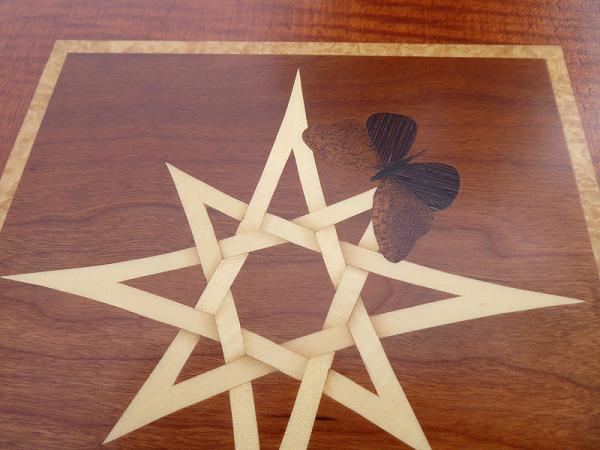 D289 Butterfly on Celtic Star picture