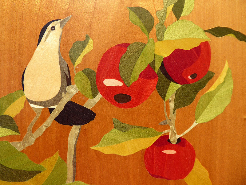 D121 Catbirds picture