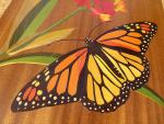 D155 Monarch in Milkweed