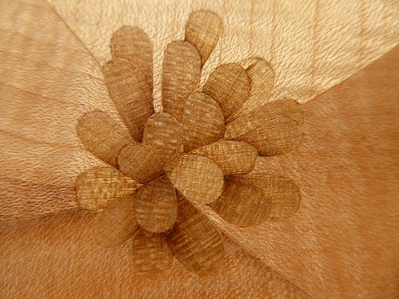 D388 Dogwood picture