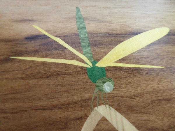 D412 Yellow & Green Dragonfly picture