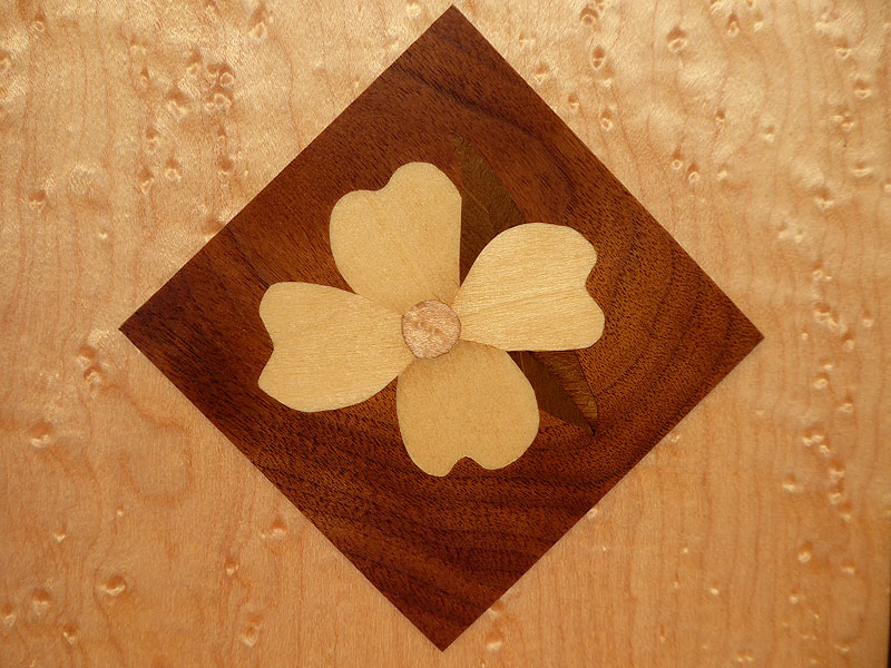 D354 Dogwood picture