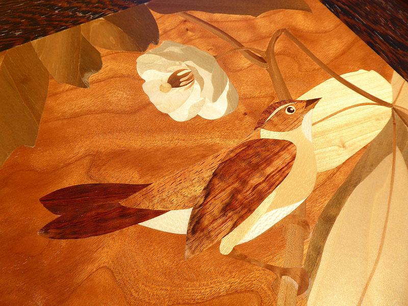 D222 Swamp Sparrow in Mayapple picture