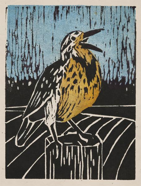 Meadowlark