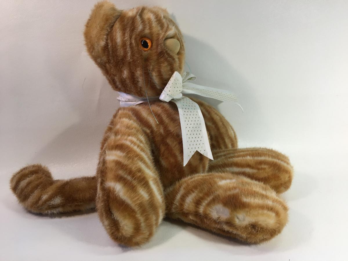 Gold and White Striped Cat picture