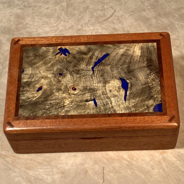 Mahogany/Buckeye Burl/Lapis picture