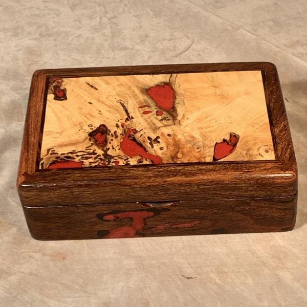 Mesquite Buckeye and Red Coral picture