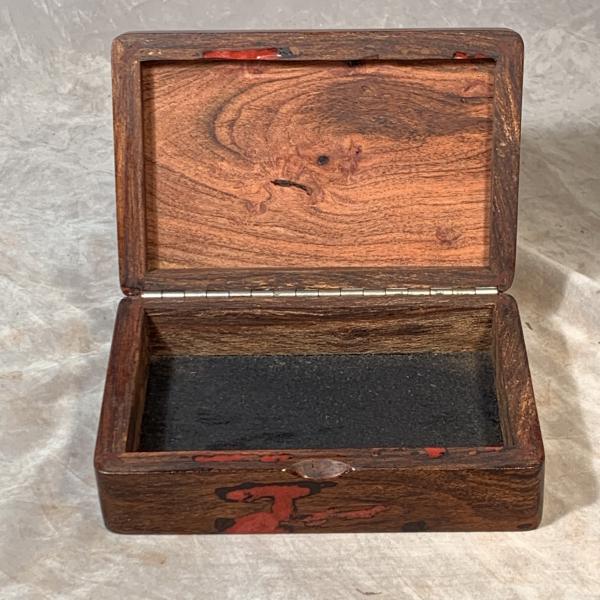 Mesquite Buckeye and Red Coral picture