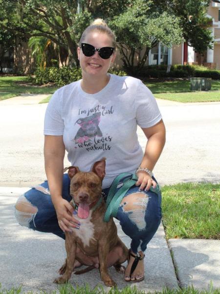 Girl Who Loves Pitbulls Tee picture