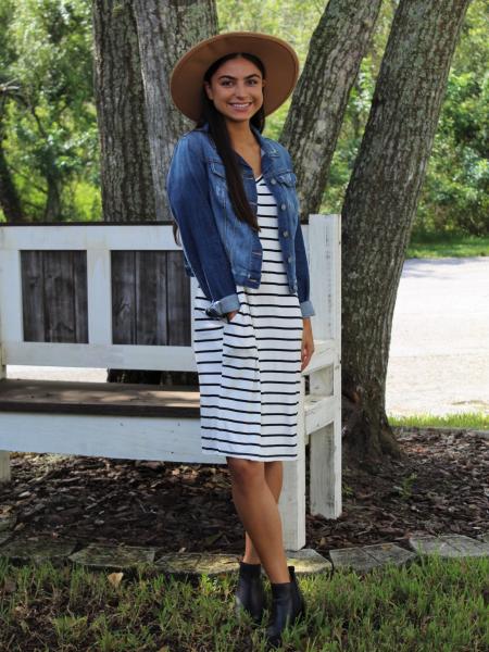 Stripes on Stripes Dress picture