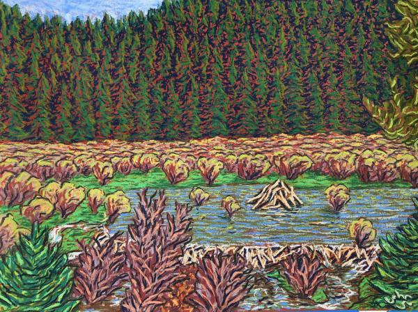 Beaver Lodge and Pond picture