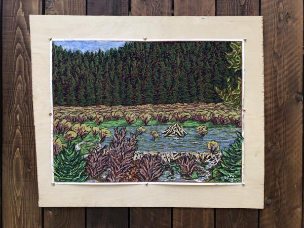 Beaver Lodge and Pond picture