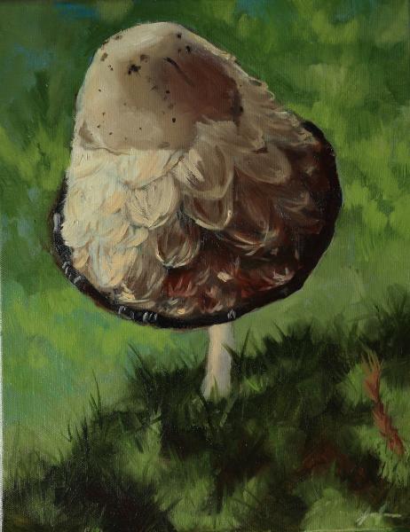 Portrait of a Mushroom