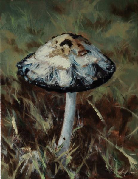 Portrait of a Mushroom