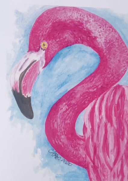 Flamingo (print) picture