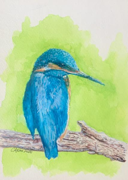 Blue Kingfisher (original) picture