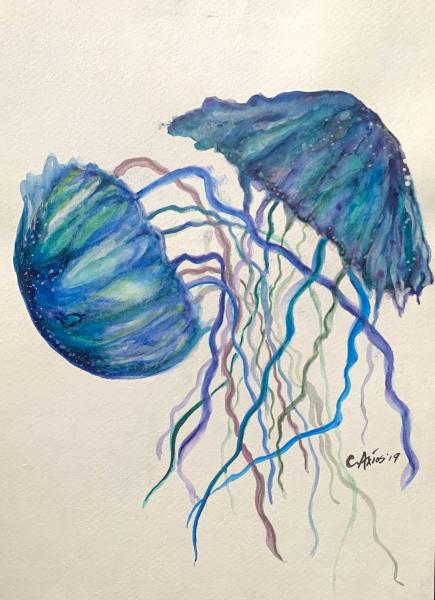 Jellies (print) picture