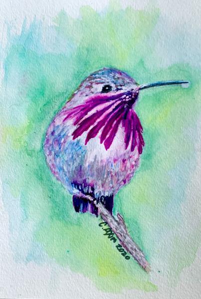 Hummingbird (original watercolor) picture