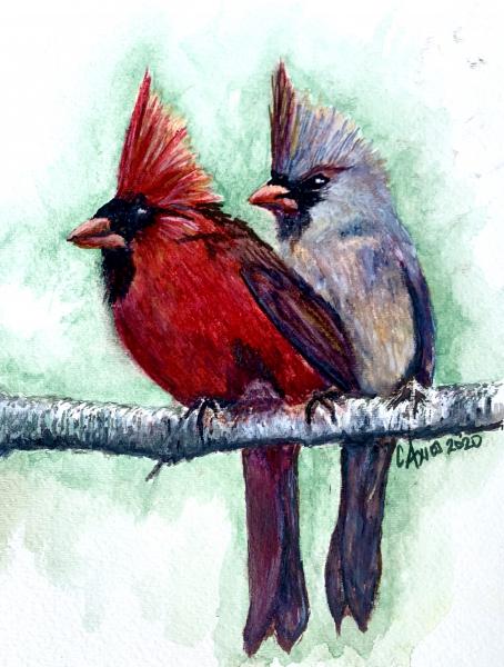 Cardinals (print) picture