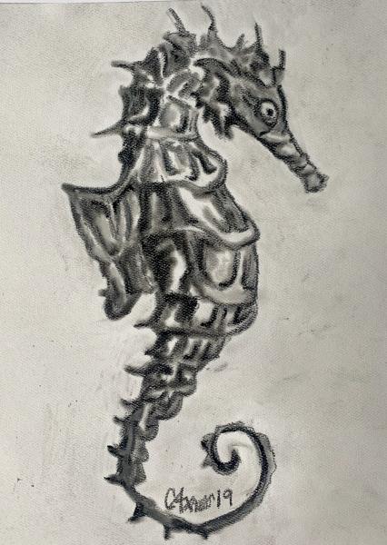 Payne's Seahorse (print) picture