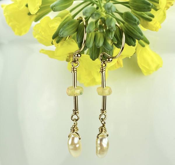 Rhapsody Delight Earrings picture