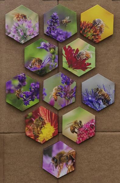 Hex Hive Mosiac