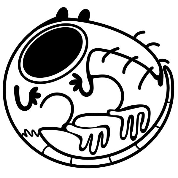 Ratical Clay