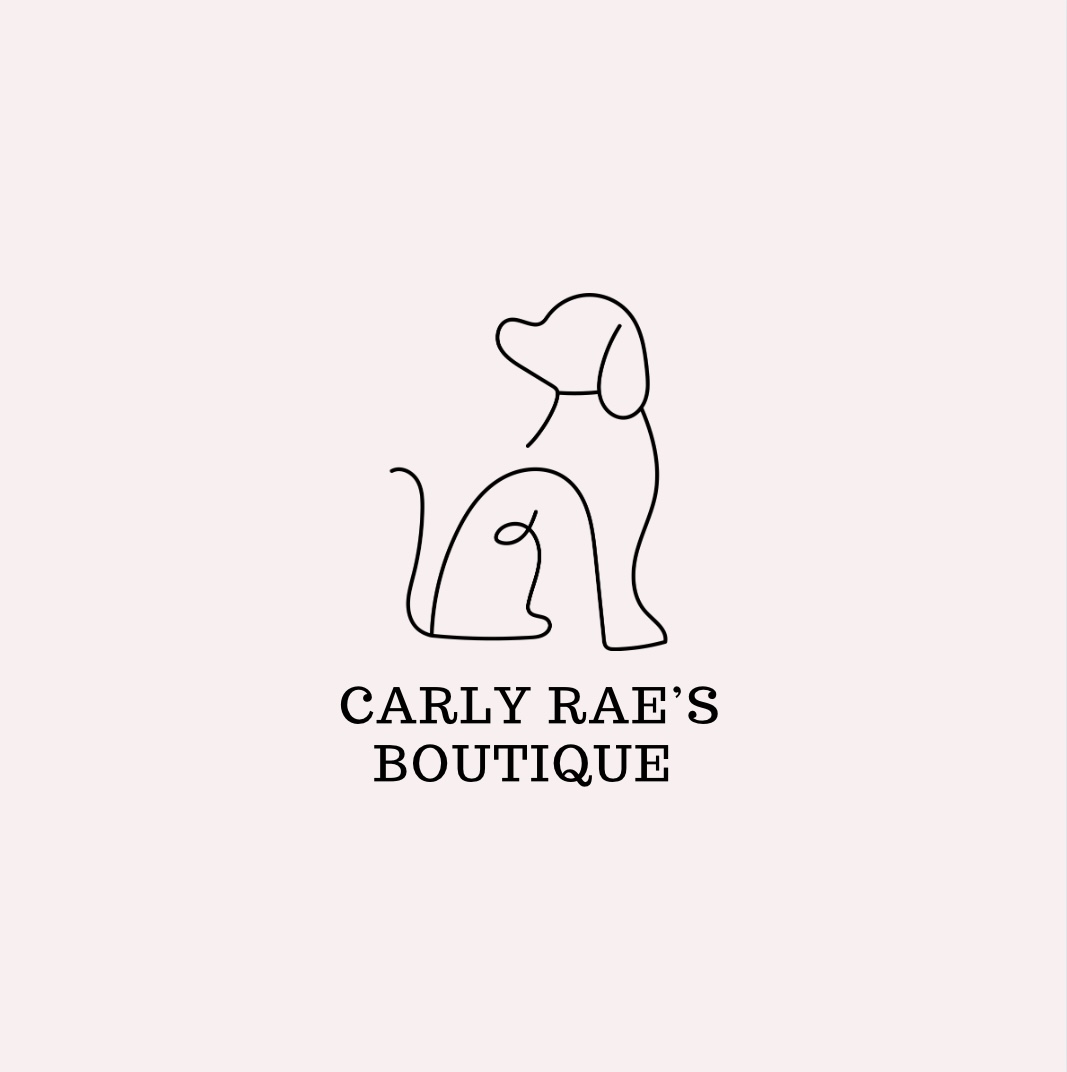 Carly User Profile
