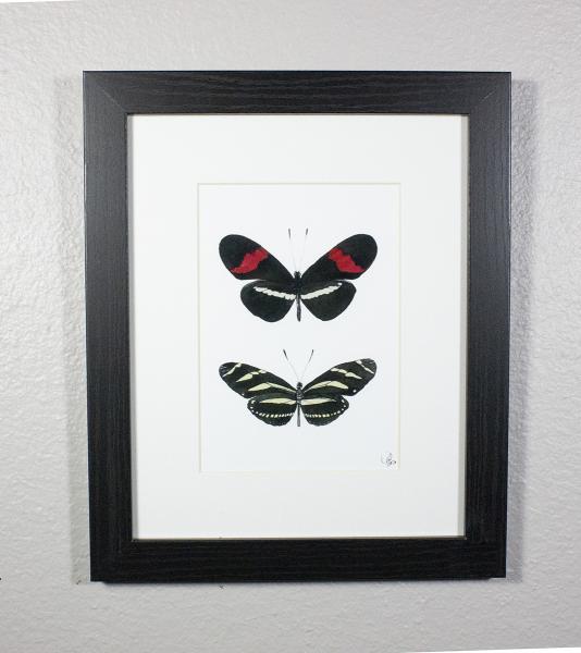 Postman Butterfly and Zebra Longwing Butterfly Print Framed