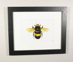 Bumblebee Print Framed