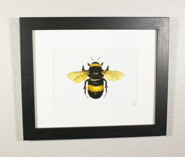 Bumblebee Print Framed picture