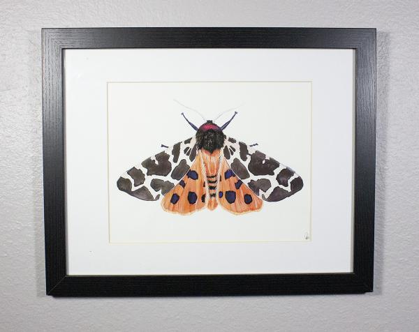 Garden Tiger Moth Original Painting