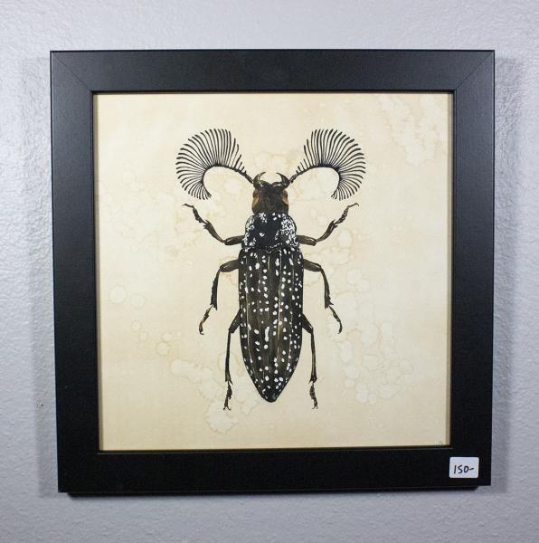 Feather-Horned Beetle Original Painting picture