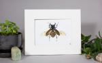 Atlas Beetle Print